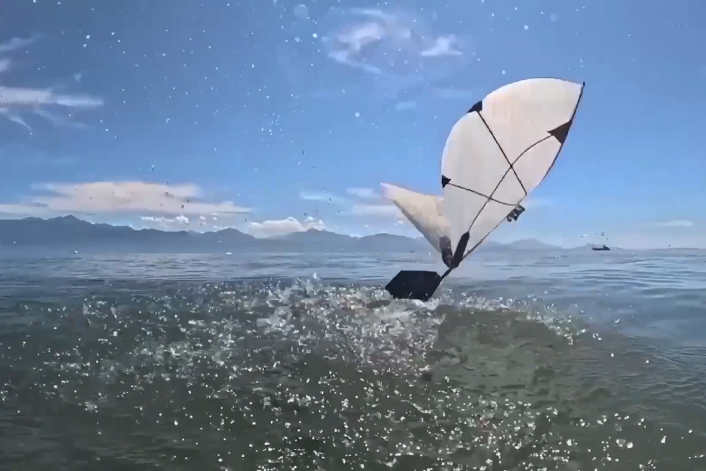 Flapping-wing aerial-aquatic robot taking off from a lake